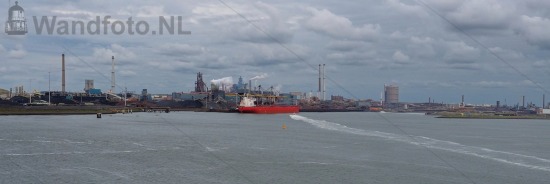 Buitenhaven |
PreSail IJmond |