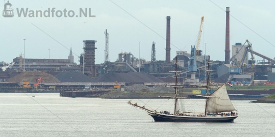 Buitenhaven, IJmuiden
PreSail IJmond - Clipperbrik Morgenster
Fo