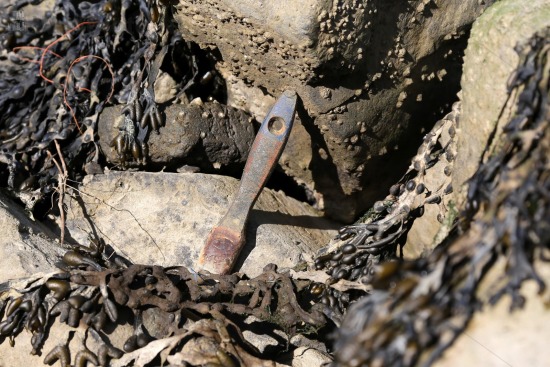 Vissershaven
Laag water in de Volendamse Hoek