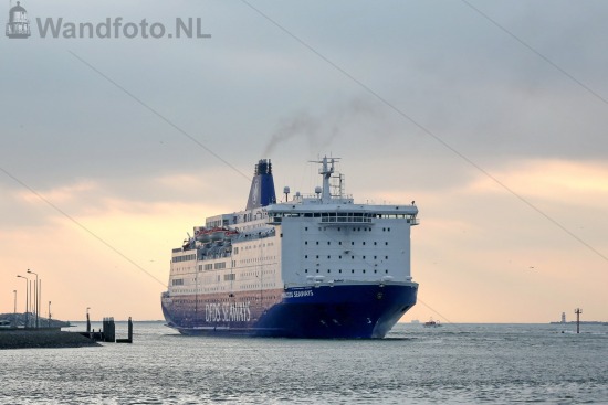 --aspectratio, --bedrijven en organisaties, --bedrijven en organisaties--havengerelateerde bedrijven, --datums, --locaties, --maritieme fotografie, --nld-landcode, --soort-foto, --transport-scheepvaart, --transport-scheepvaart-koopvaardij, --transport-scheepvaart-passagiersschepen, --transport-scheepvaart-rederijen, --transport-scheepvaart-vaartuigen-schepen, --transport-transport, --weersomstandigheden, -3x2, 2015-jaar, 201503, 20150323, FotoKvL, Wandfoto-NL, cruiseferries, cruiseferry princess seaways, europa-continent, felison terminal, havens-ijmond, horizontale foto, ijmond-regio, ijmuiden-plaats, inci-no, kennemerland-regio, kop van de haven, kvsa, liggende foto, nederland-land, noord-holland-provincie, passagiersschip, rederij dfds seaways, storm, tegenlicht, upload-20260526, velsen-gemeente, wind