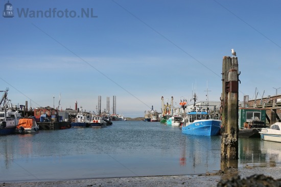 Vissershaven,
Laag water in de Volendamse Hoek