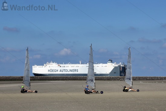 Carcarrier Hoegh London