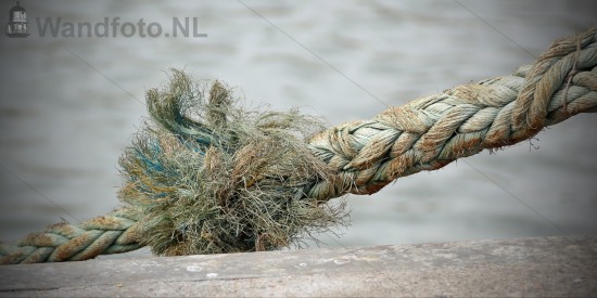 Mooring #038