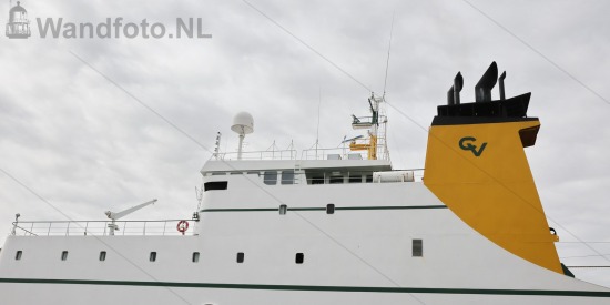 Hektrawlers in de Haringhaven