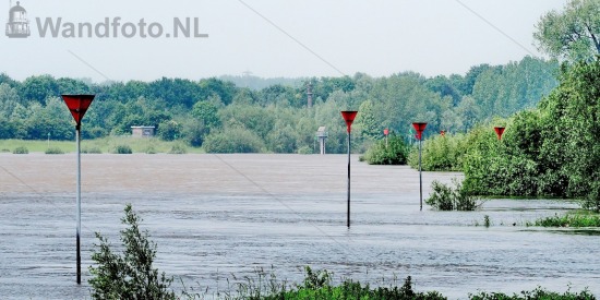 Kribbakens op de IJssel