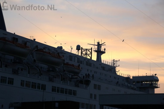 --aspectratio, --bedrijven en organisaties, --bedrijven en organisaties--havengerelateerde bedrijven, --datums, --locaties, --maritieme fotografie, --nld-landcode, --soort-foto, --transport-scheepvaart, --transport-scheepvaart-koopvaardij, --transport-scheepvaart-passagiersschepen, --transport-scheepvaart-rederijen, --transport-scheepvaart-vaartuigen-schepen, --transport-transport, --weersomstandigheden, -3x2, 2015-jaar, 201503, 20150323, FotoKvL, Wandfoto-NL, europa-continent, felison terminal, horizontale foto, ijmond-regio, ijmuiden-plaats, inci-no, kennemerland-regio, kvsa, liggende foto, nederland-land, noord-holland-provincie, passagiersschip, rederij dfds seaways, storm, tegenlicht, upload-20260526, velsen-gemeente, wind