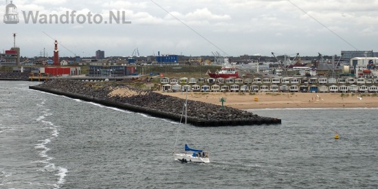 Buitenhaven | PreSail IJmond |