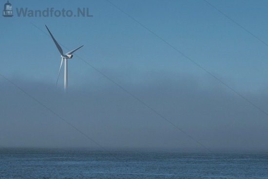 04-04-2017 - Zeevlam in