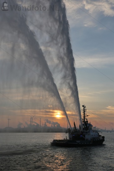 Cruiseschepen