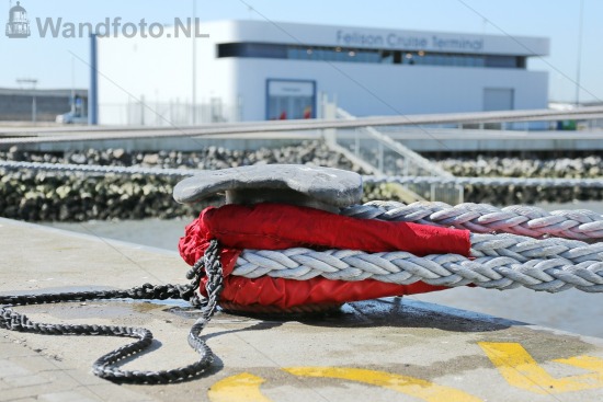 Mooring #011