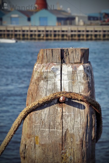 Mooring #052