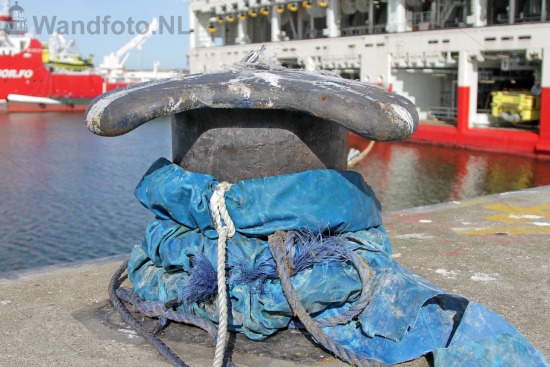 Mooring #031