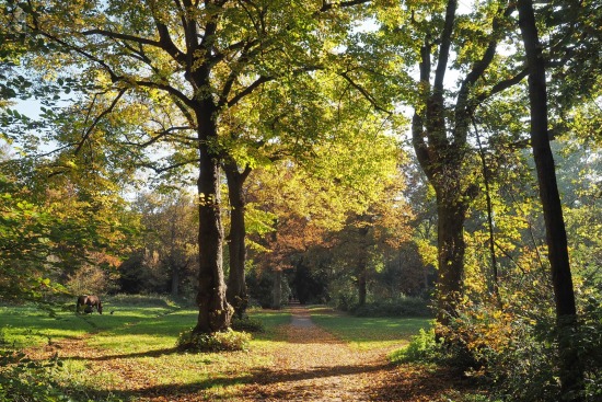 Herfst