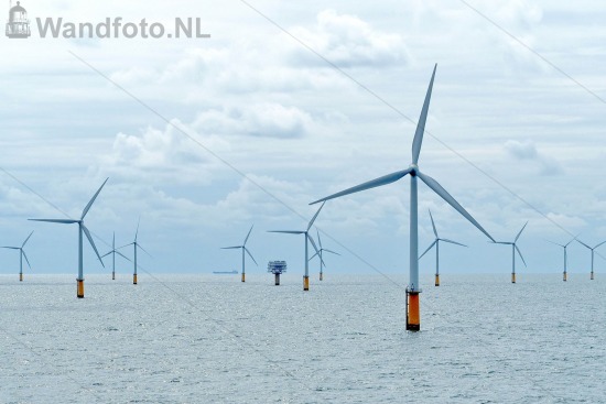 Noordzee |
Kvl 150816 1235210w.jpg |