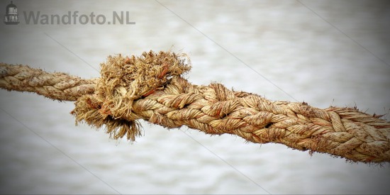 Mooring #037
