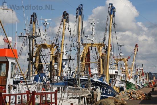 Kotters aan de kade