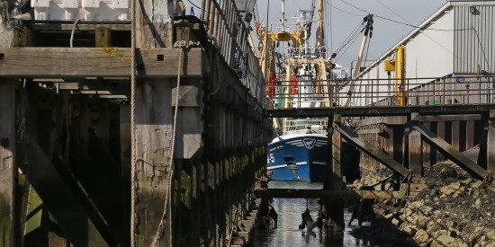 Vissershaven
Laag water in de Volendamse Hoek