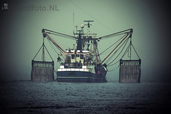 Hoisting the nets