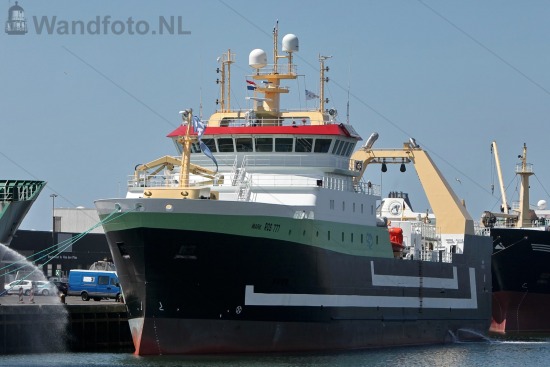 Hektrawler Mark
