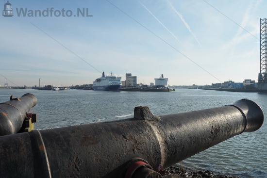 Felison Terminal met twee DFDS-ferries