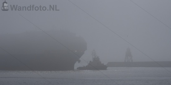 Mist