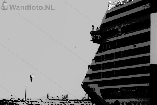 Cruiseschip AIDAstella komt aan in