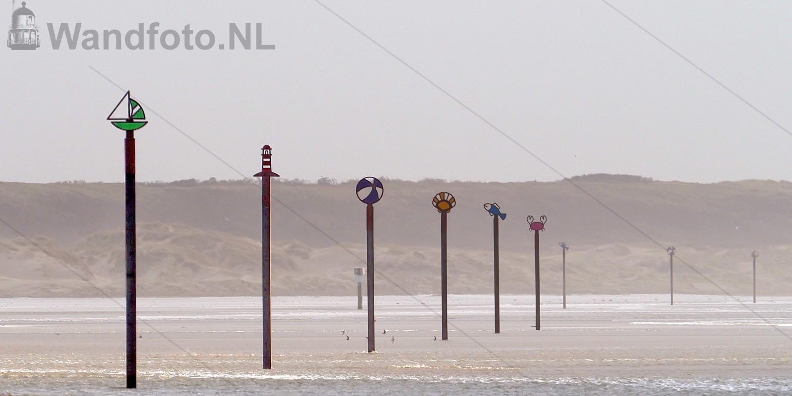 Windkracht 8 uit het westen