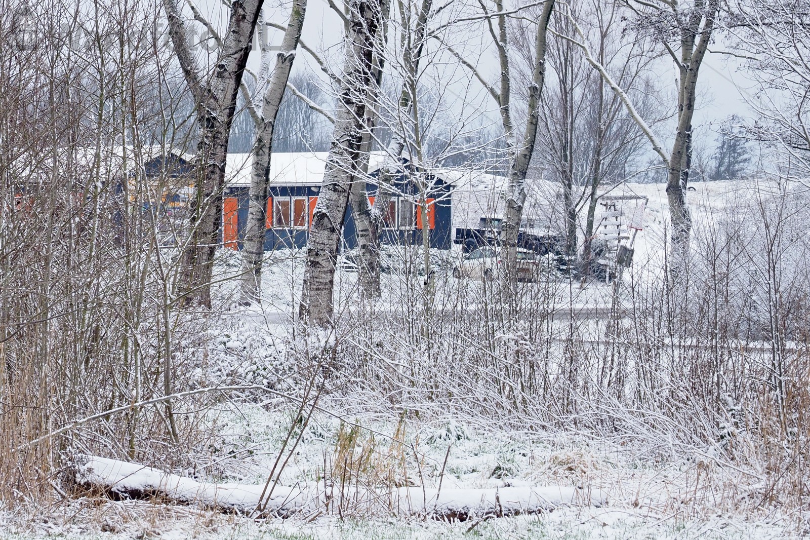 Sneeuw