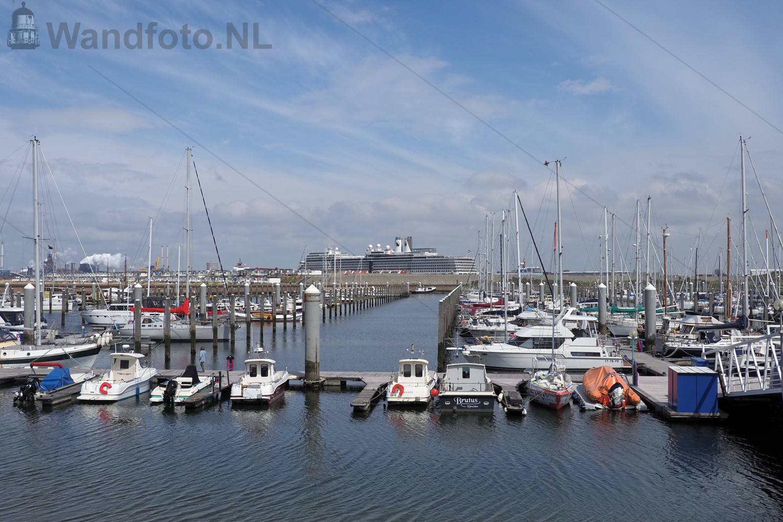 Service call cruiseschip Eurodam
