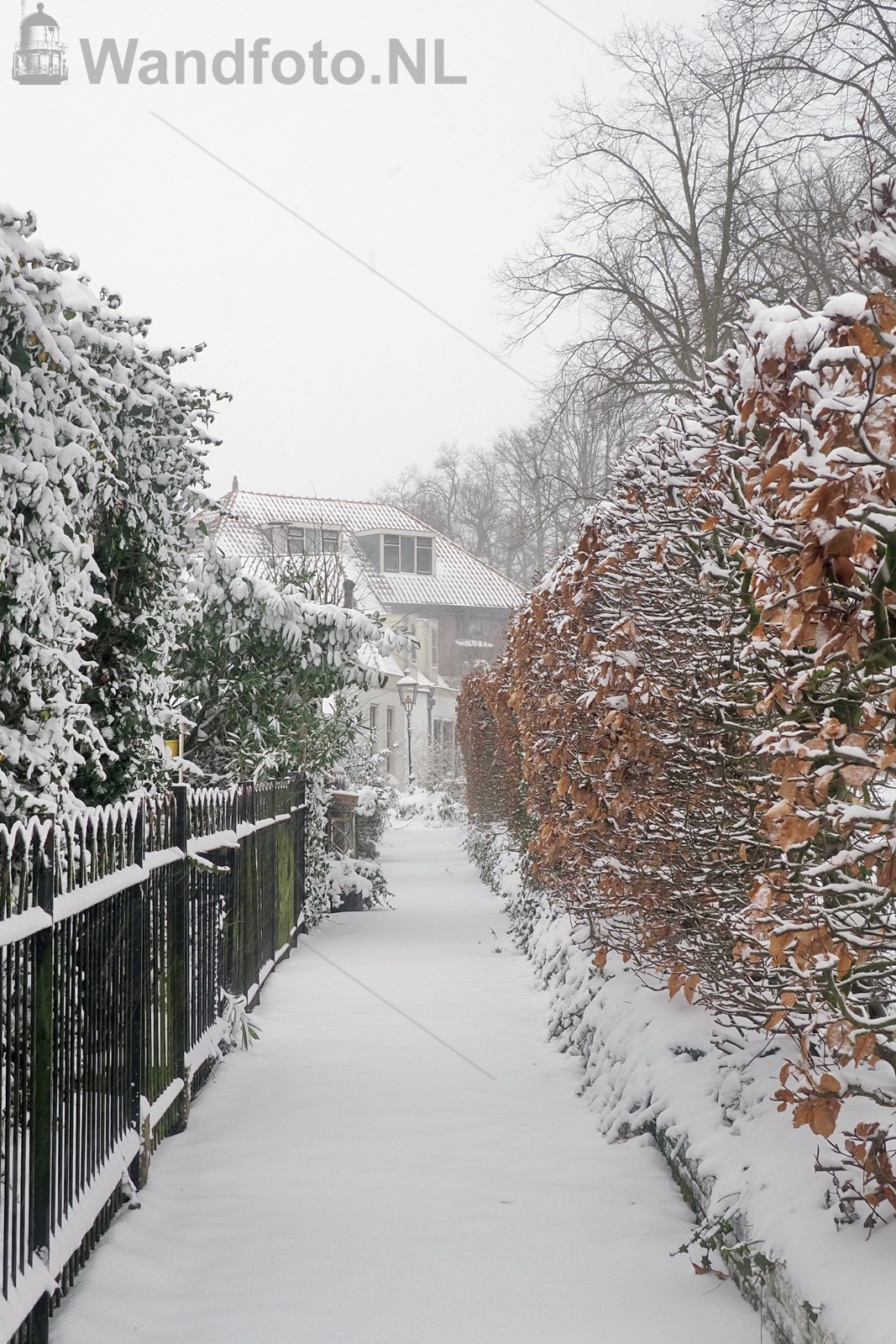 Eerste sneeuw van 2021