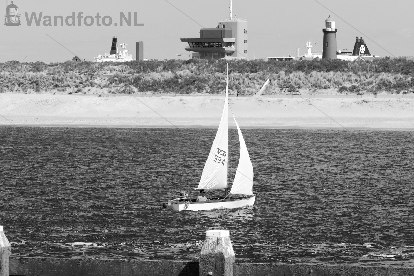 Dolfijn Zafar, Marina Seaport, IJmuiden (FotoKvL/05-05-2020)