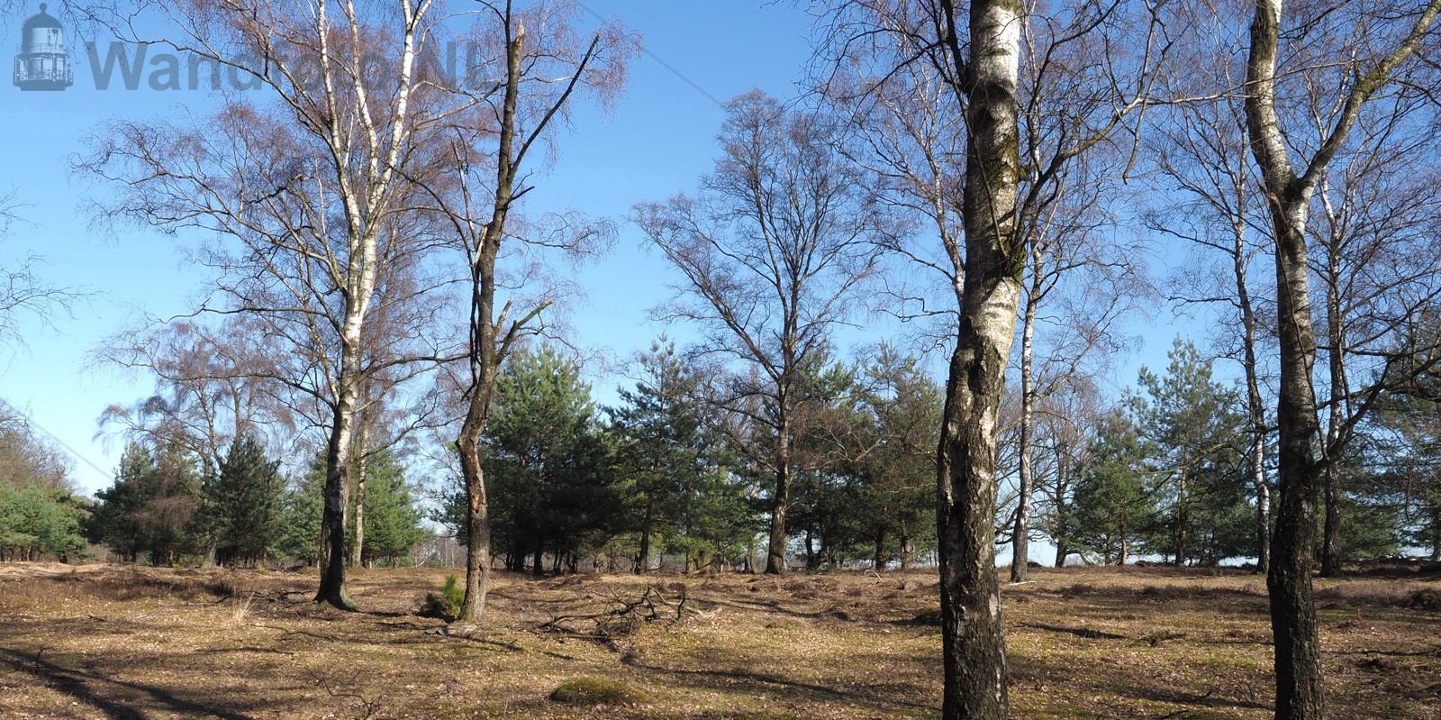Grote Heide