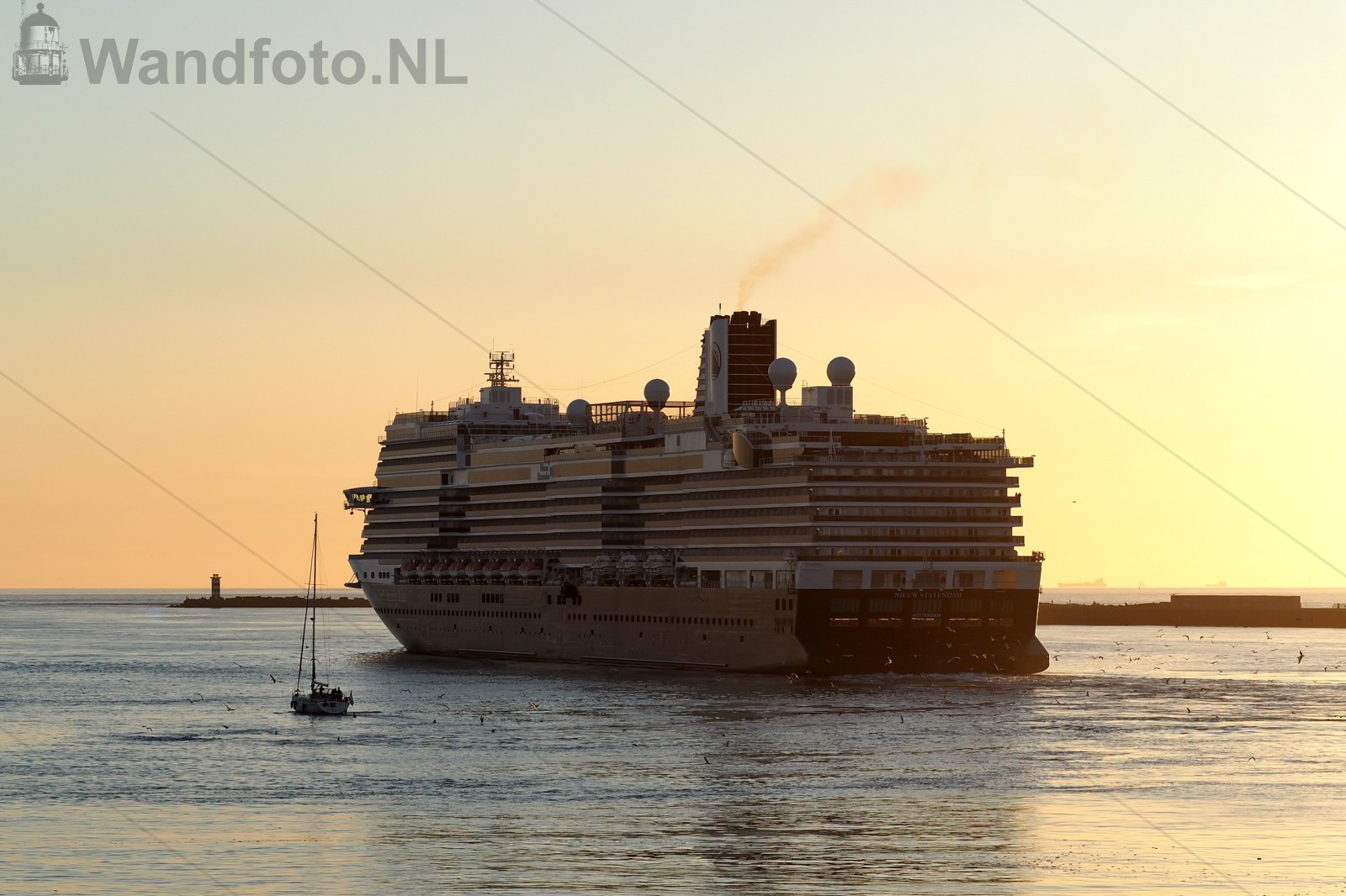 Cruiseschip Nieuw Statendam