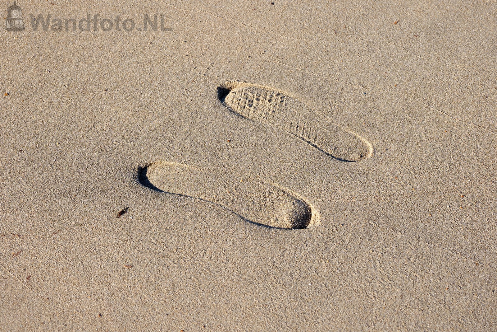 Welke richting?