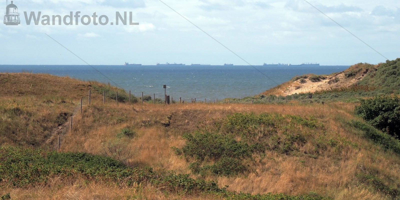 Duinen