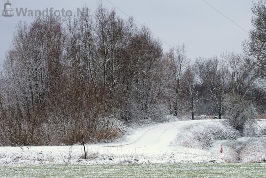 Sneeuw