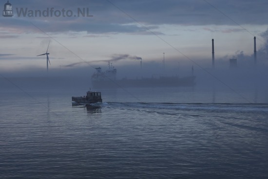 Mist