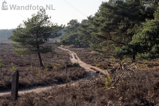 Kleine Heide