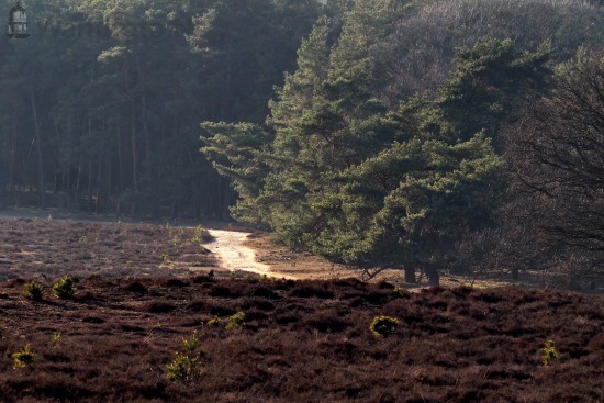 Kleine Heide