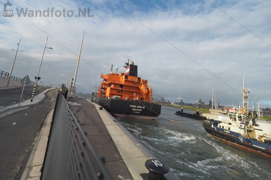 Tanker Torm Amalie uitgaand