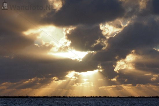 Zon op poten