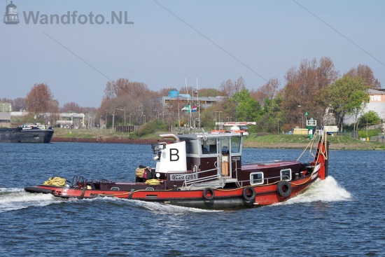 Sleepboot Tommy