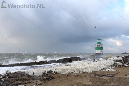 Algenschuim tijdens windkracht 8