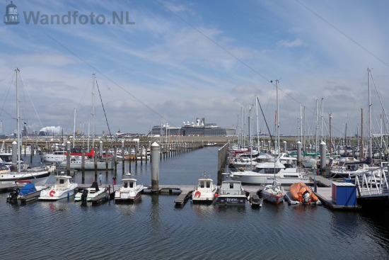 Service call cruiseschip Eurodam