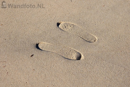 Welke richting?