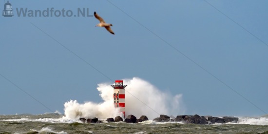 Windkracht 8 uit het westen
