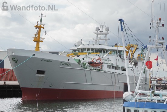 Nieuwe hektrawler Scombrus