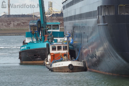 Cruiseschip Zaandam komt bevoorraden
