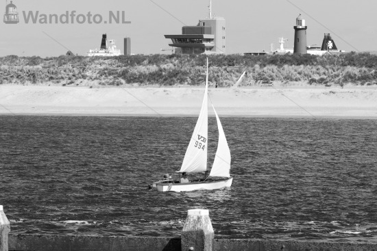 Dolfijn Zafar, Marina Seaport, IJmuiden (FotoKvL/05-05-2020)