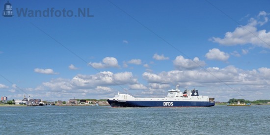 RoRoferry Selandia Seaways Het Scheur Rozenburg (ZH)